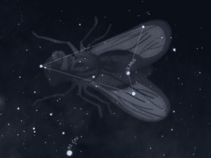 Sterrenbeeld Vlieg