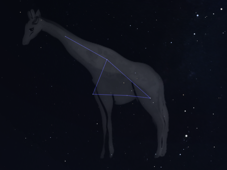 Sterrenbeeld Giraffe