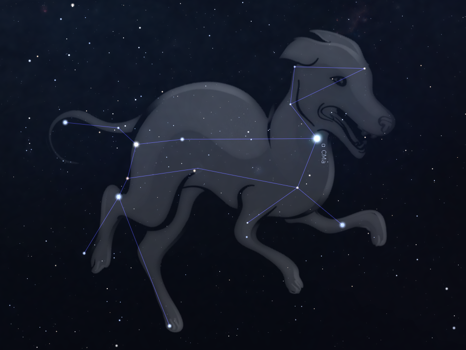 Sterrenbeeld Grote Hond