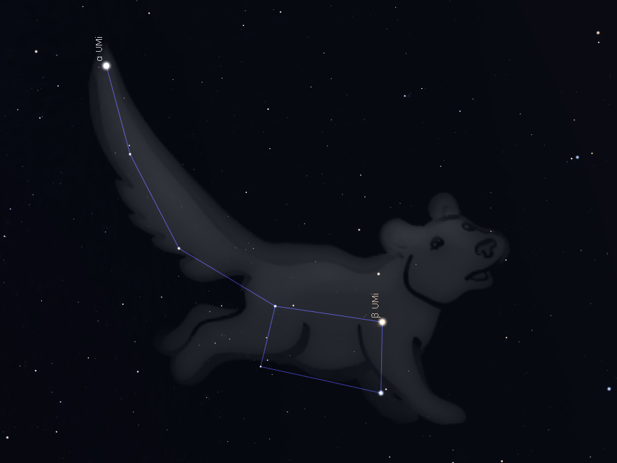 Sterrenbeeld Ursa Minor
