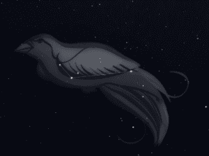 Sterrenbeeld Paradijsvogel