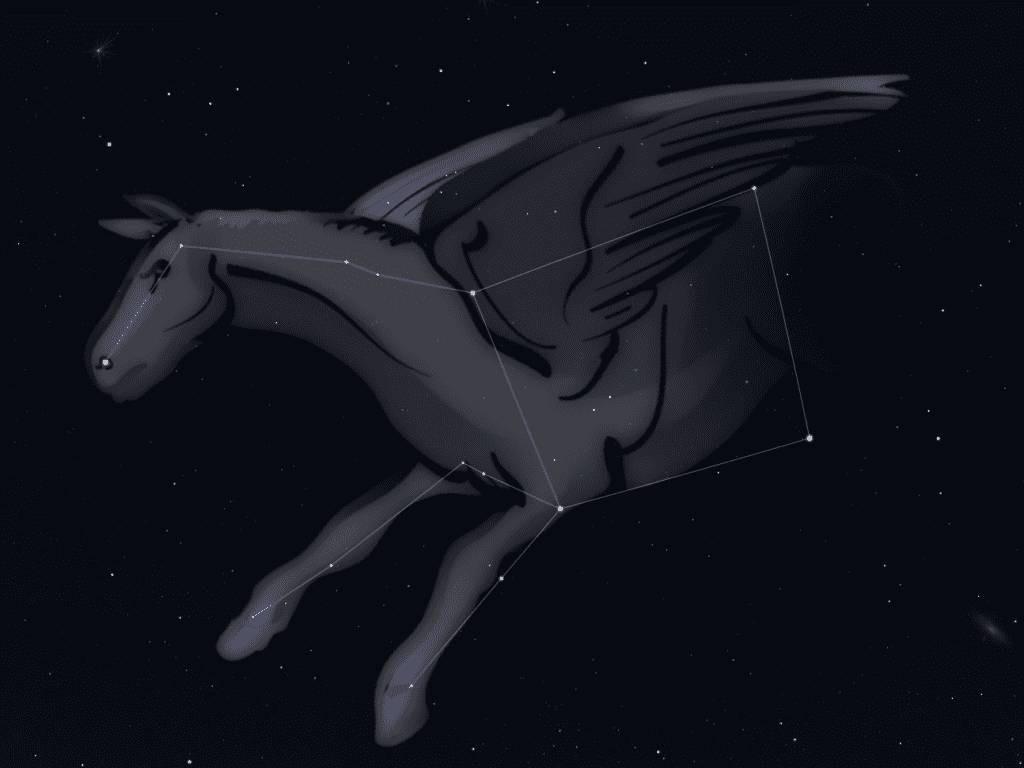 Sterrenbeeld Pegasus