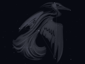 Sterrenbeeld Phoenix
