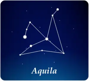Aquila