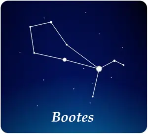 Sterrenbeeld Ossenhoeder