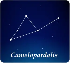 Sterrenbeeld Giraffe