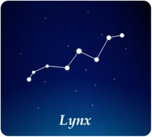 Sterrenbeeld Lynx